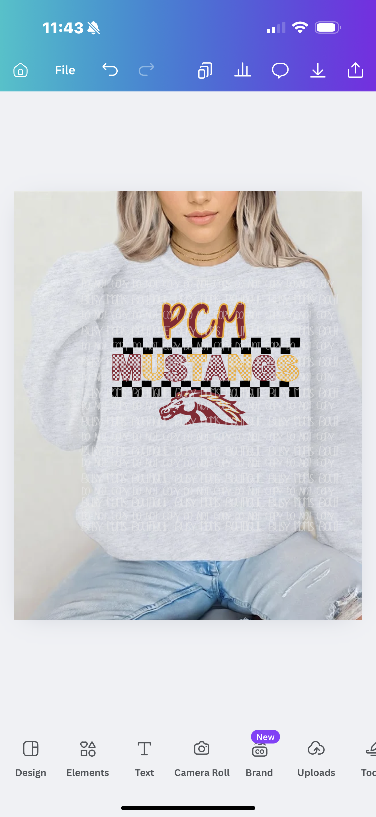 PCM Mustangs checkered