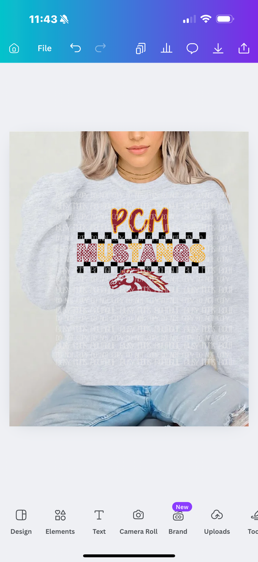 PCM Mustangs checkered